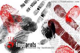 fingerprint 2.jpg - 14.79 Kb