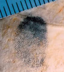 fingerprint 5.jpg - 8.65 Kb